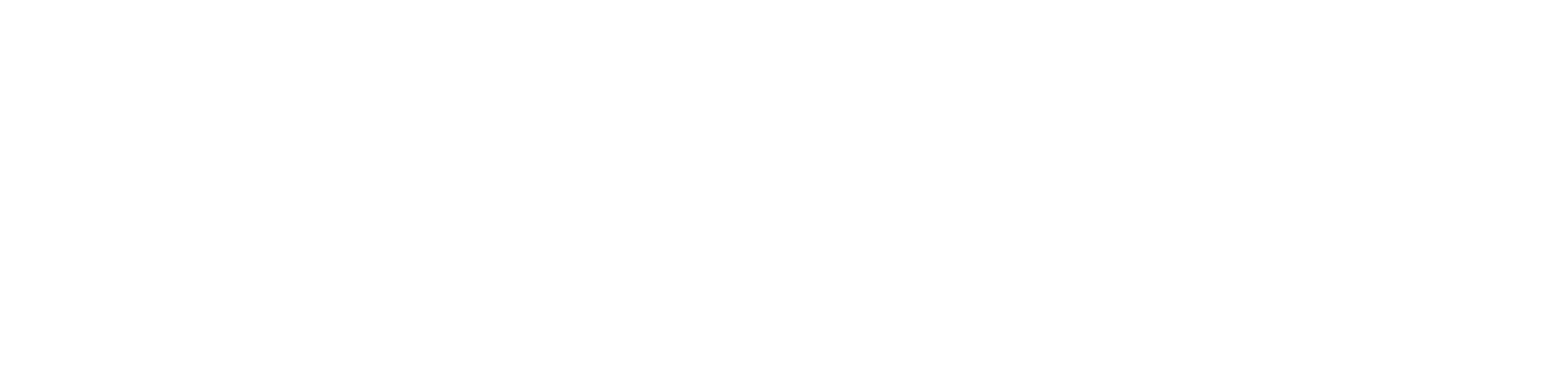 Website PE